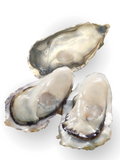 Fresh-frozen shelled-oysters from Hiroshima Prefecture 3pcs (180 – 200g)